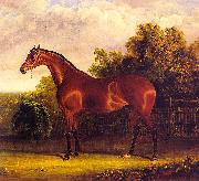 Negotiator, the Bay Horse in a Landscape John F Herring